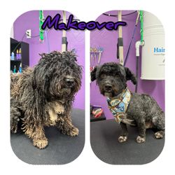 The Pet Spa & Boutique