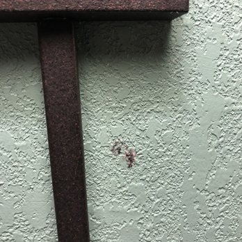 Quality Inn Mount Airy Mayberry - Stains on the walls from god only knows what - Hotels Near Me - Mount Airy, North Carolina Quality Inn Mount Airy Mayberry - Stains on the walls from god only knows what - Hotels Near Me - Mount Airy, North Carolina