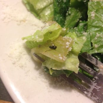 Buffalo Wild Wings - A fly in our salad! Never eating here again - Chicken Wings Near Me - Miami, Florida Buffalo Wild Wings - A fly in our salad! Never eating here again - Chicken Wings Near Me - Miami, Florida