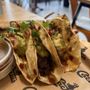 cactus Mexican