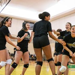 Scorpions Volleyball Club - Scorpions Volleyball Developmental Program, Cambridge, ON