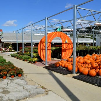 Casey's Garden Shop - Florists Near Me - Bloomington, Illinois Casey's Garden Shop - Florists Near Me - Bloomington, Illinois