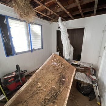 Kainoitall - Removal of asbestos in ceiling and cleaning attic space - Handyman Near Me - Kailua, Hawaii