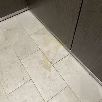 Heritage Towers - Dog pee in elevator - Apartments Near Me - Lewisville, Texas Heritage Towers - Dog pee in elevator - Apartments Near Me - Lewisville, Texas