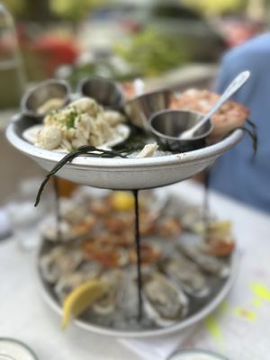 Bill's Oyster by null