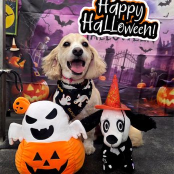 Pet Supplies Plus Cypress - Pet Stores Near Me - Cypress, Texas Pet Supplies Plus Cypress - Pet Stores Near Me - Cypress, Texas