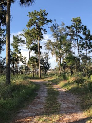 UCF Arboretum by null