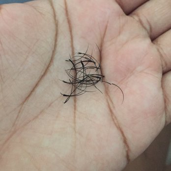 T Lash Studio - Eyelash Service Near Me - Houston, Texas T Lash Studio - Eyelash Service Near Me - Houston, Texas