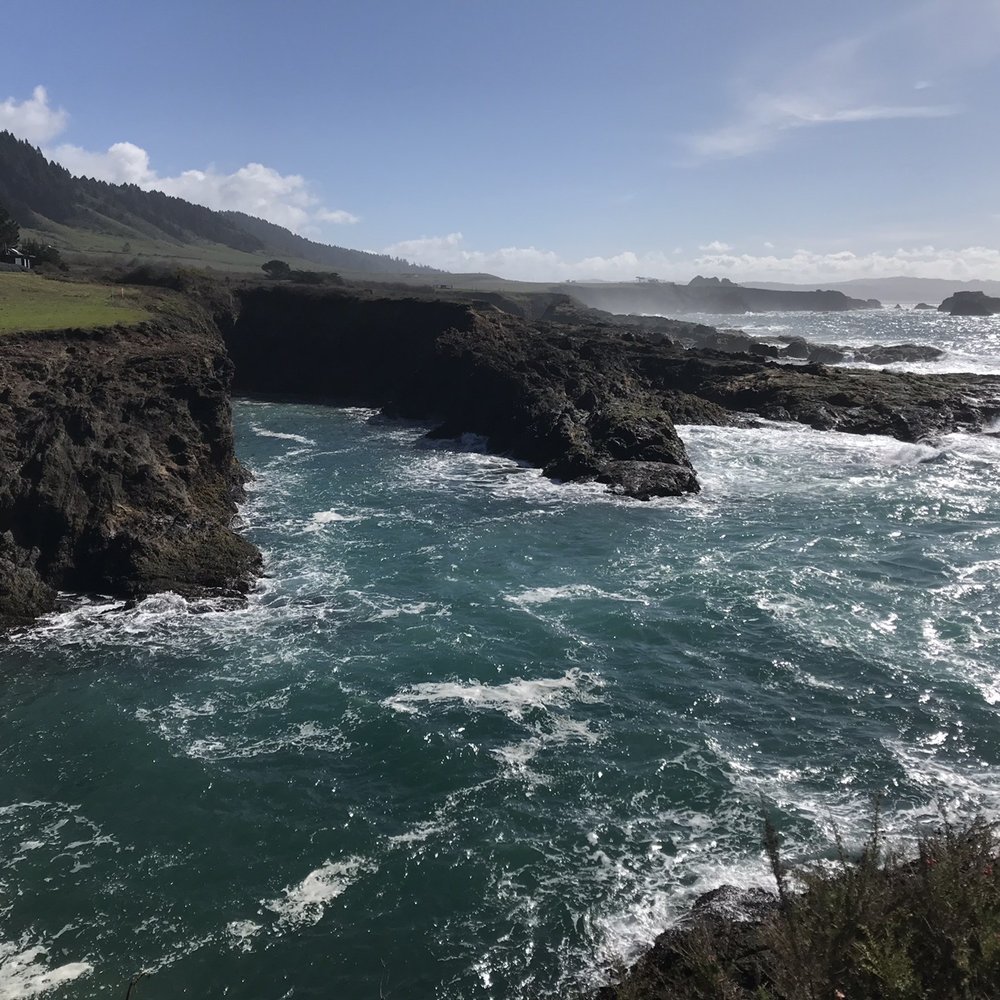 Pacific Star Winery - Wineries Near Me - Fort Bragg, California Pacific Star Winery - Wineries Near Me - Fort Bragg, California