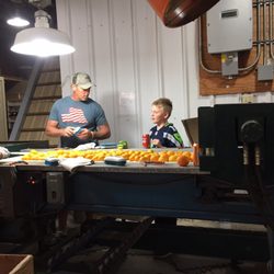 Doering's Mandarins - Hands on business