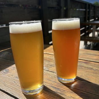 Rumpus Beer Company - Pint of Beer - Breweries Near Me - Revelstoke, British Columbia Rumpus Beer Company - Pint of Beer - Breweries Near Me - Revelstoke, British Columbia