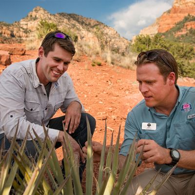 Pink Jeep Tours by null