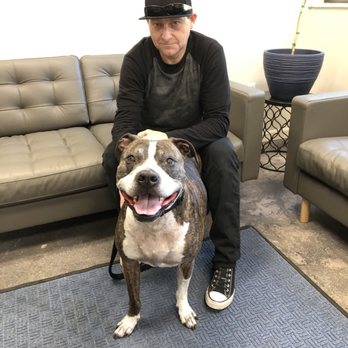 Coast Veterinary Services - Shane and Dozer, getting ready for his first hydro treadmill session. - Veterinarians Near Me - Scotts Valley, California Coast Veterinary Services - Shane and Dozer, getting ready for his first hydro treadmill session. - Veterinarians Near Me - Scotts Valley, California