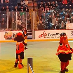 Reading Royals