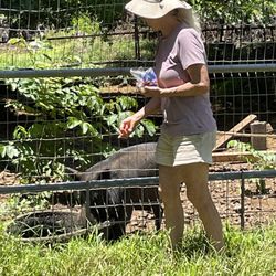 Three Ring Ranch Exotic Animal Sanctuary - Ann with Nick, a very smart and playful pig!