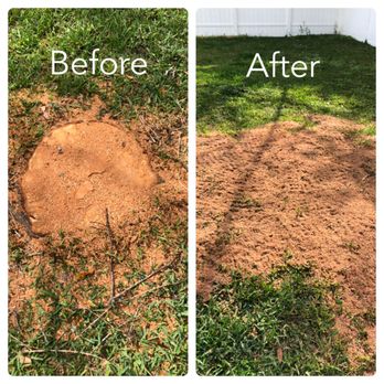 Clark Outdoor Services - Stump removal - Landscaping Near Me