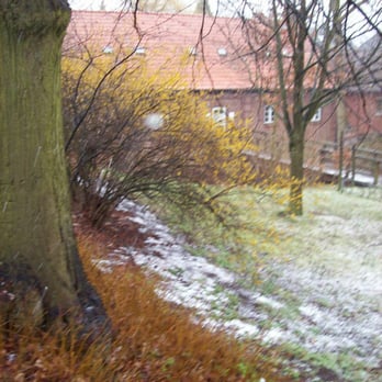 Museum Glinder Mühle - Museums Near Me - Glinde, SH
