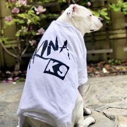 Akina K9 - Pet Training Near Me - Gilroy , California