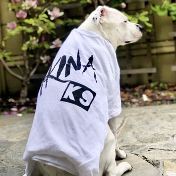 Akina K9 - Pet Training Near Me - Gilroy , California