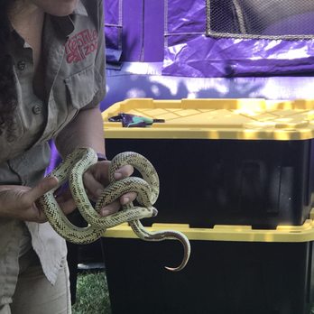 Jurassic Parties - Party & Event Planning Near Me - Fountain Valley, California Jurassic Parties - Party & Event Planning Near Me - Fountain Valley, California