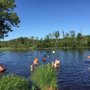 Photo of Stockweiher