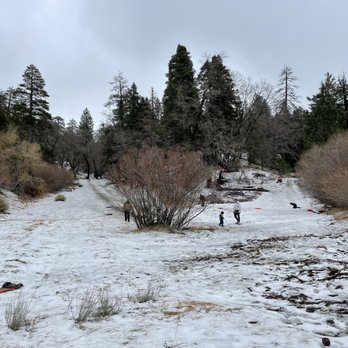 City of Wrightwood - Local Flavor Near Me City of Wrightwood - Local Flavor Near Me