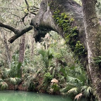 Green Springs Park - Hiking Near Me - Deltona, Florida