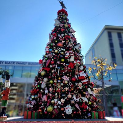 Children's Hospital Los Angeles by null