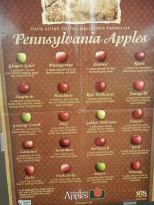 Menu photo 3 Shillington Farmers Market Reading, PA