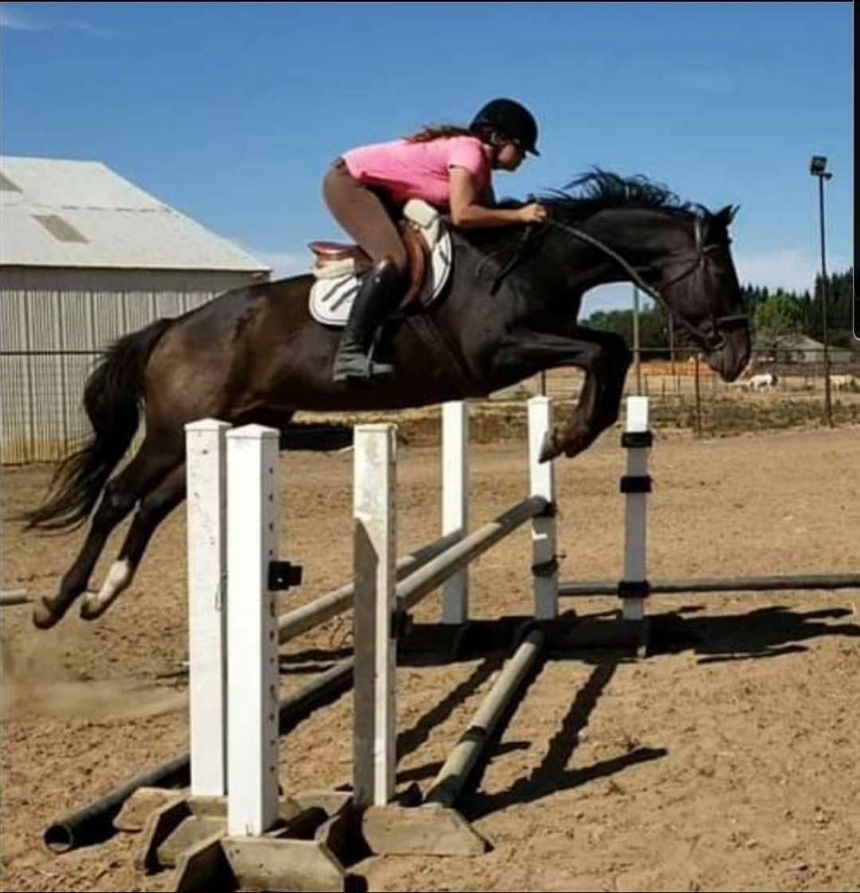 HOOFBEATS EQUESTRIAN Updated September 2024 31 Photos 8790 Mecca