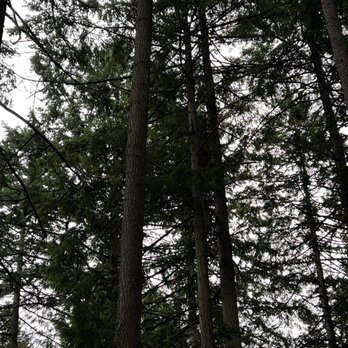 Mount Tabor Park - Parks Near Me - Portland, Oregon