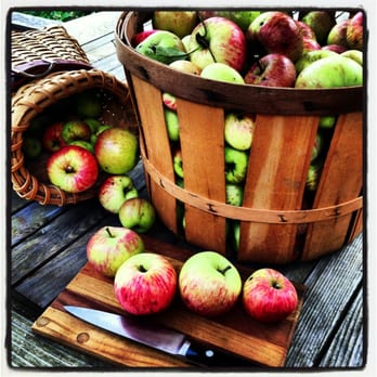 Ashokan Dreams B&B - Harvest of summer sweet apples at #AshokanDreamsBB - Party & Event Planning Near Me - West Shokan, New York Ashokan Dreams B&B - Harvest of summer sweet apples at #AshokanDreamsBB - Party & Event Planning Near Me - West Shokan, New York