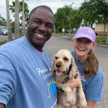 Florida Coastal Cocker Rescue - Pet Adoption Near Me