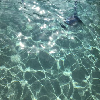 Splash Around Pool Service - Yaaaay!!!!! And just like that he made sure our pool sparkled!!! - Pool Cleaners Near Me - Bakersfield, California