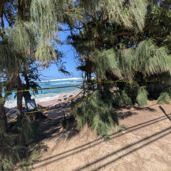 Laniakea Beach - 2/3/26 - Beaches Near Me - Haleiwa, Hawaii Laniakea Beach - 2/3/26 - Beaches Near Me - Haleiwa, Hawaii