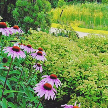 Humber Arboretum - Botanical Gardens Near Me - Toronto, Ontario