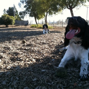 Del Mar Dog Park - Dog Parks Near Me - San Ramon, California Del Mar Dog Park - Dog Parks Near Me - San Ramon, California