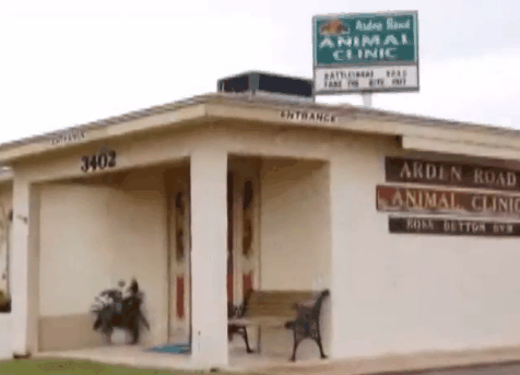 Arden Road Animal Clinic 3402 Arden Rd San Angelo Tx Veterinarians Mapquest