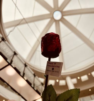 Burbank Town Center by null