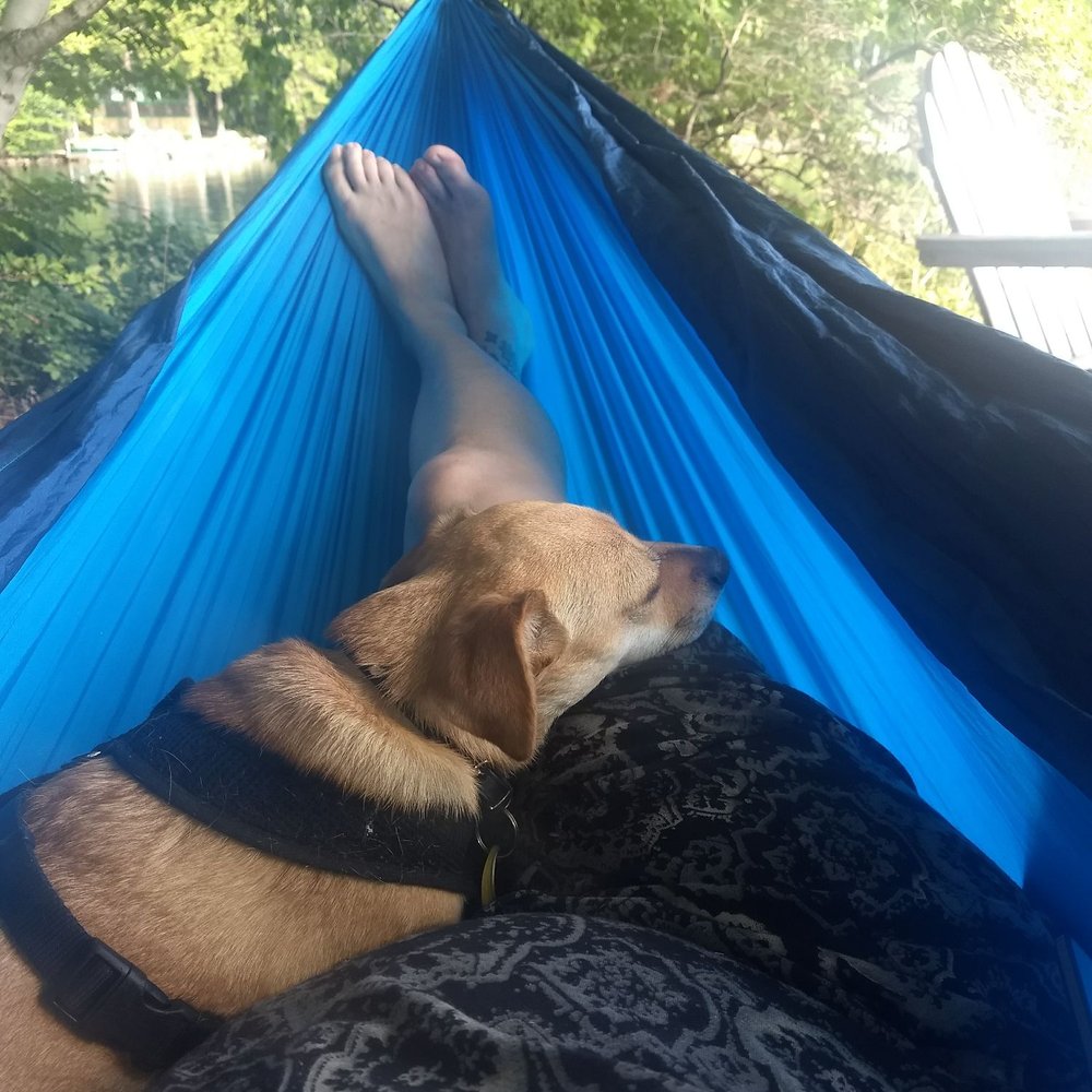 Wheeler's Camps - Relaxing in my portable hammock. - Campgrounds Near Me - Oakland, Maine