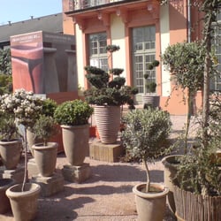 Gartenlust - Zitronen und Oliven