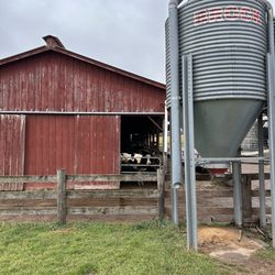 Calkins Creamery