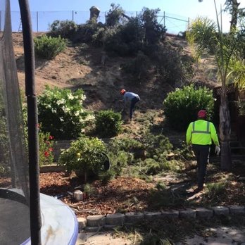 C&W Tree And Landscape - Landscaping Near Me - Martinez, California