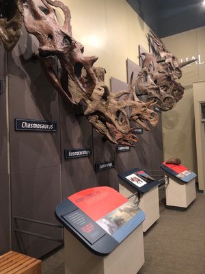 Burpee Museum of Natural History by null