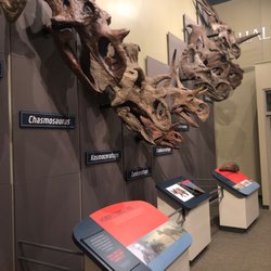 Burpee Museum of Natural History - Family Tree