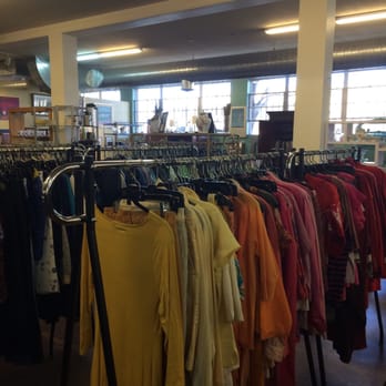The Cat - A great variety! - Thrift Stores Near Me - Santa Fe, New Mexico