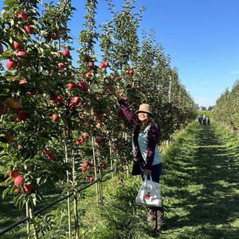 Swans Trail Farms - apples - Pumpkin Patches Near Me - Snohomish, Washington