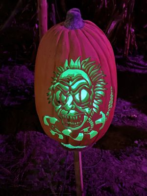 Pinehaven Farm by null