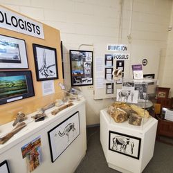 Museum of Local History - Displays/exhibits