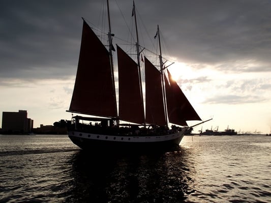 American Rover Sailing Cruises by null